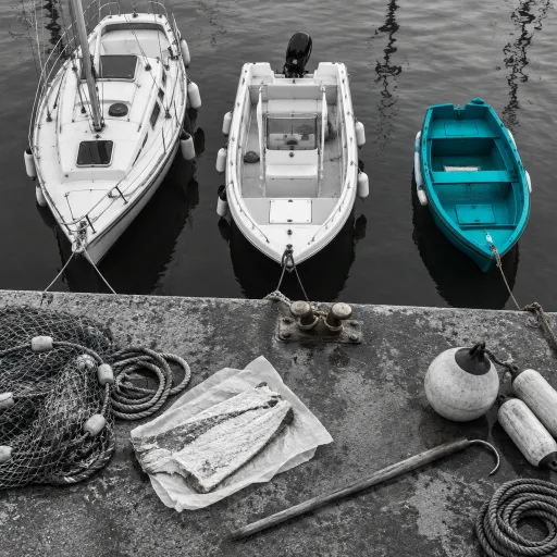 La fête de la morue à Binic Étables : un rendez-vous maritime au cœur de la Bretagne