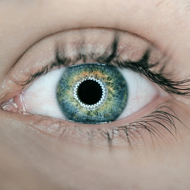 Les atouts du bateau White Shark pour les passionnés de nautisme