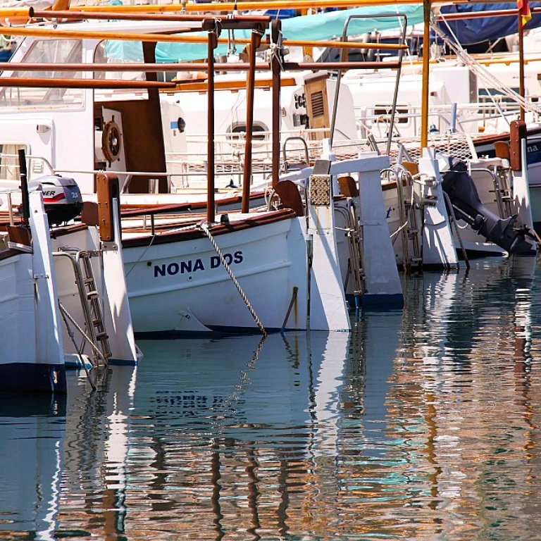 Optimiser le confort à bord : l'importance des coussins pour bateau