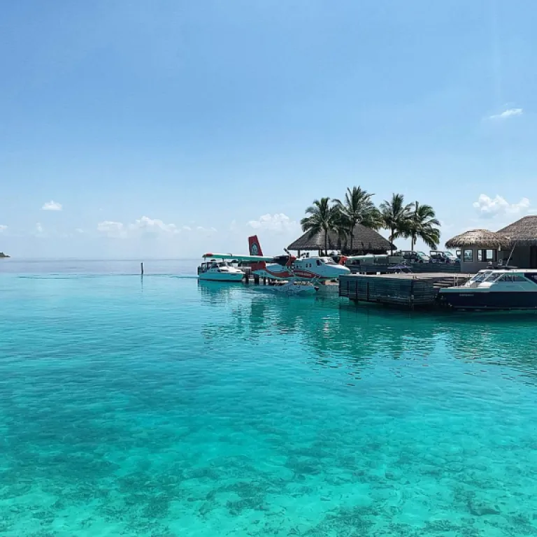 À la rencontre du saxdor 270 gto : un bateau qui bouscule les codes