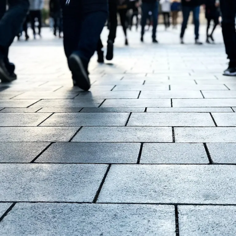 Comment bien choisir son livre pour réussir le permis bateau