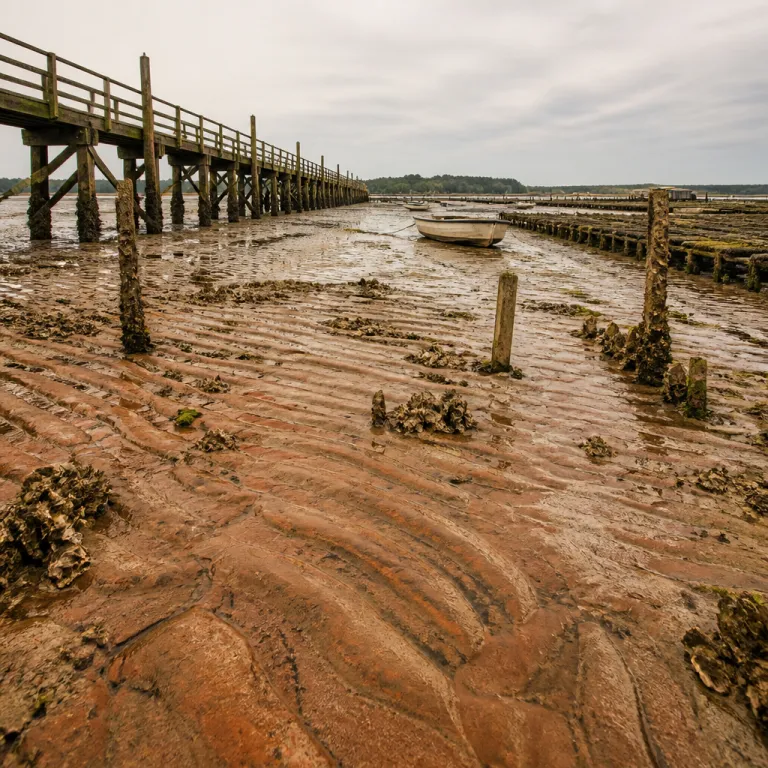 Marée à Gujan Mestras : comprendre les horaires et les tendances nautiques sur le bassin d’Arcachon