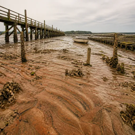 Marée à Gujan Mestras : comprendre les horaires et les tendances nautiques sur le bassin d’Arcachon
